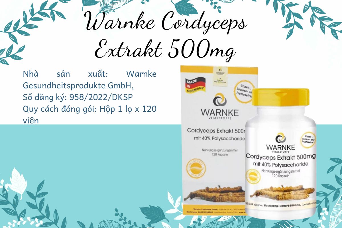 Warnke Cordyceps Extrakt 500mg 11 Thông tin sản phẩm Warnke Cordyceps Extrakt 500mg
