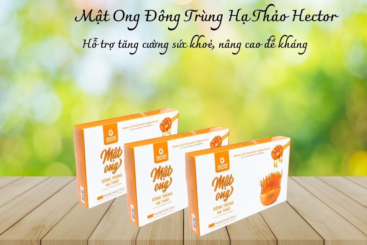 Mật Ong Đông Trùng Hạ Thảo Hector