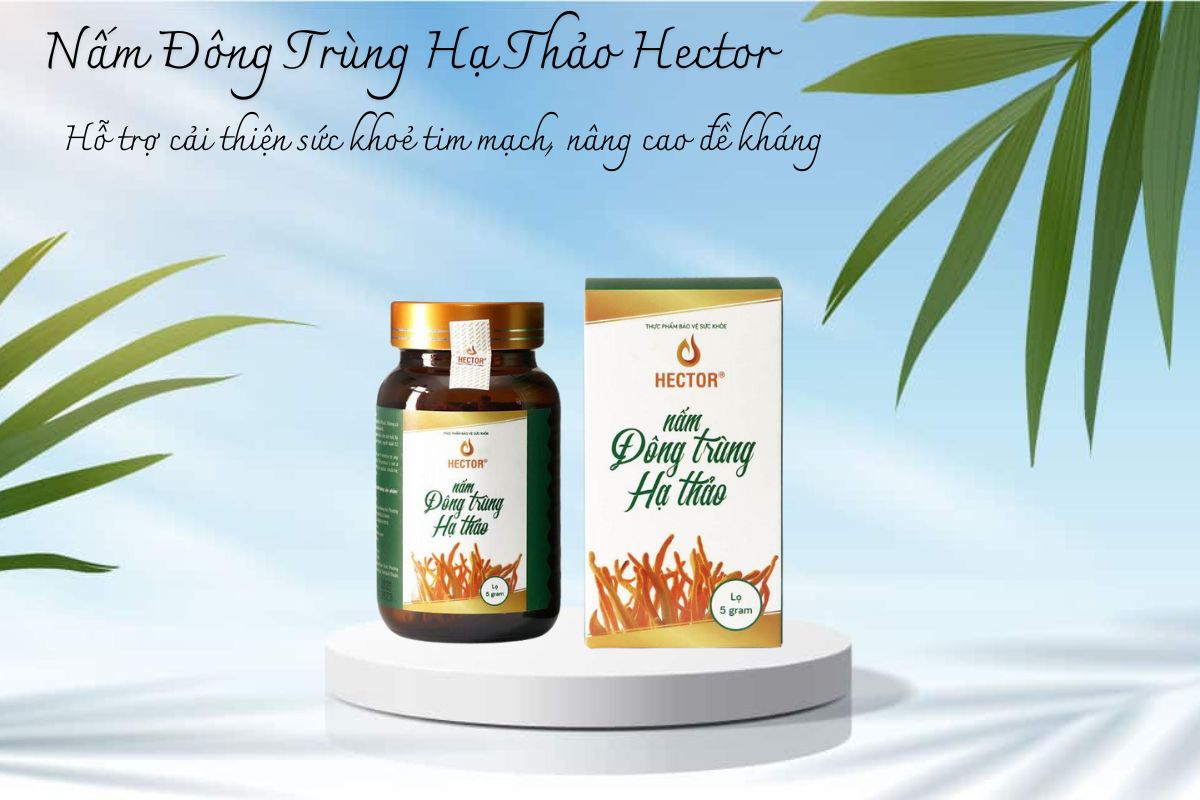 Nấm Đông Trùng Hạ Thảo Hector