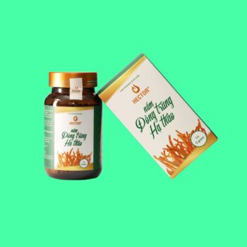 Nấm Đông Trùng Hạ Thảo Hector