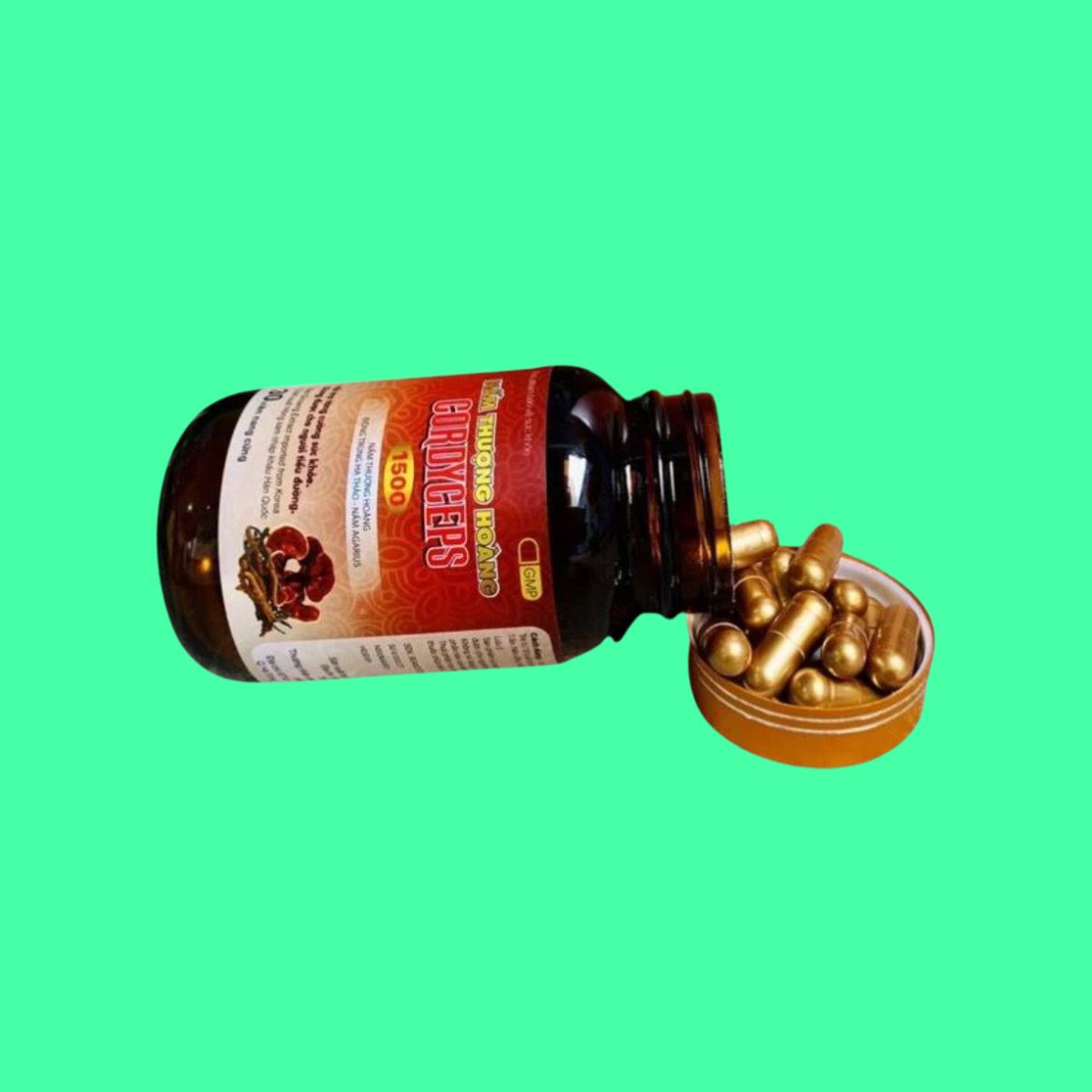 nam-thuong-hoang-cordyceps-1500-5 Nấm Thượng Hoàng Cordyceps 1500