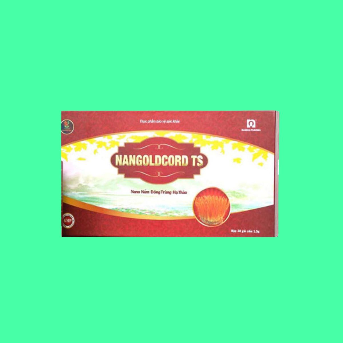 nangoldcord-ts Nangoldcord TS