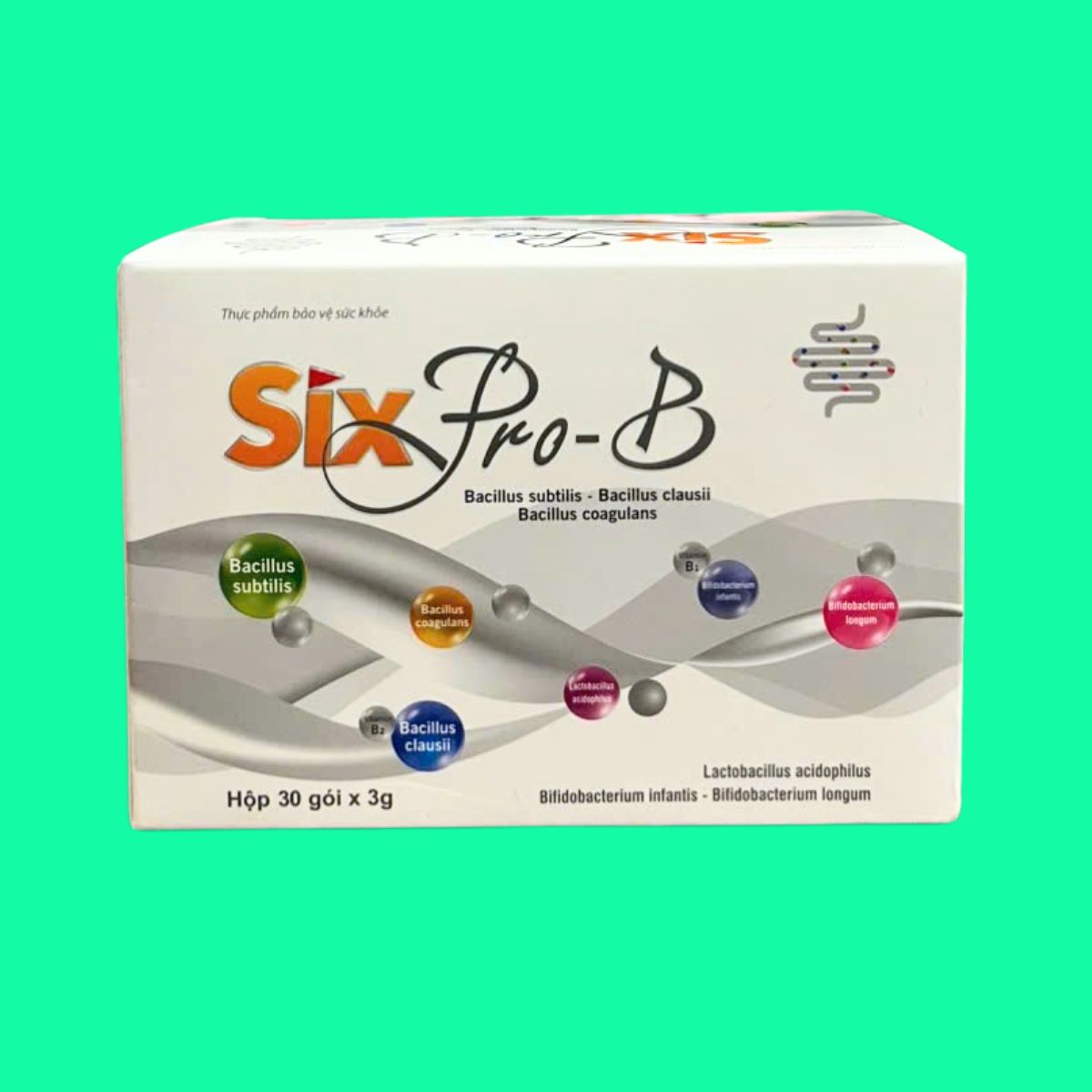 six-pro-b Six Pro-B