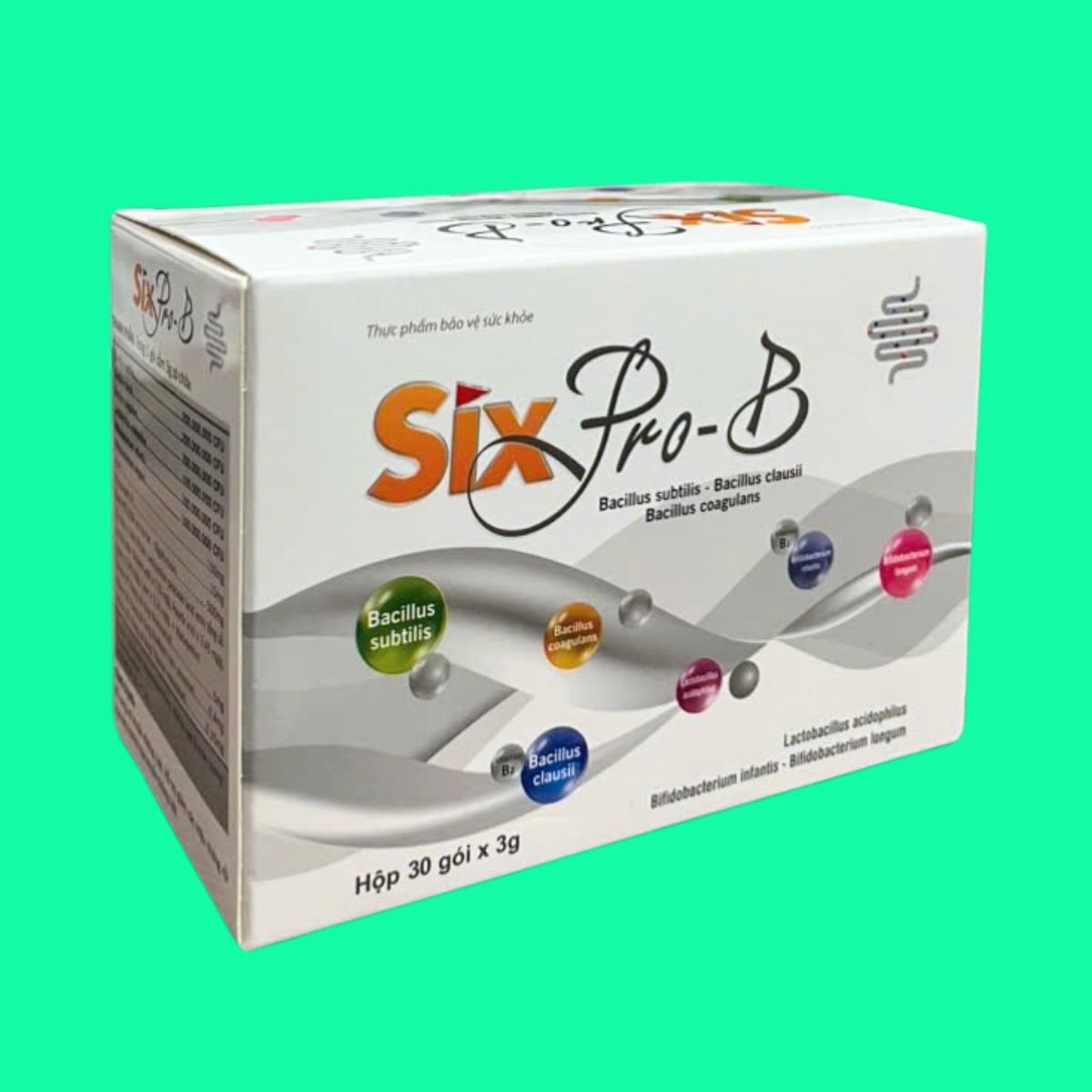 six-pro-b-6 Six Pro-B