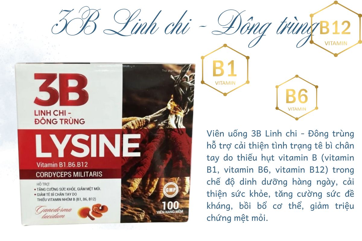Công dụng 3B Linh chi - Đông trùng