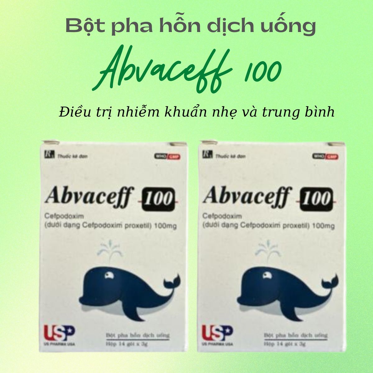 Abvaceff 100 điều trị nhiễm khuẩn