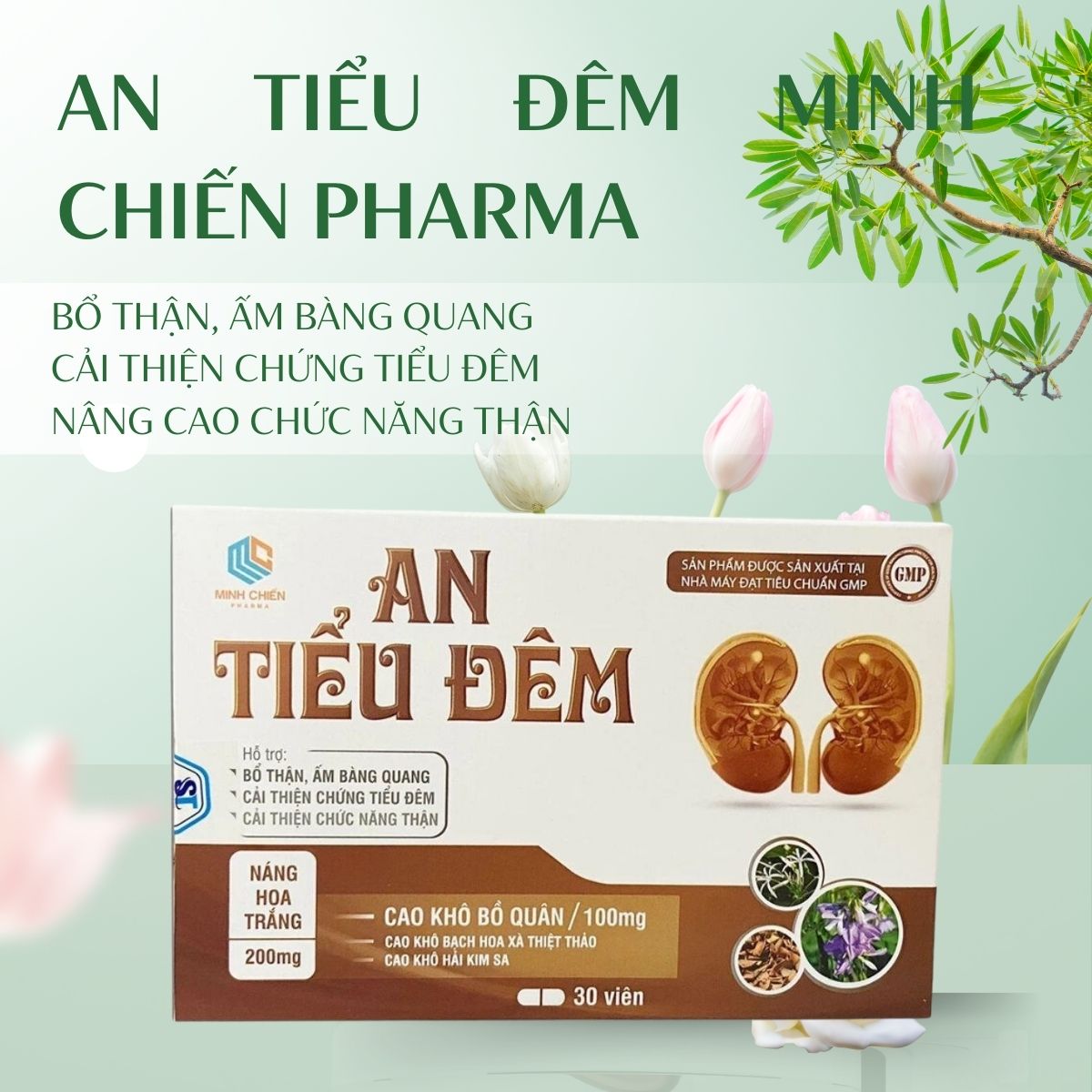 An Tiểu Đêm Minh Chiến Pharma hỗ trợ cải thiện chứng tiểu đêm