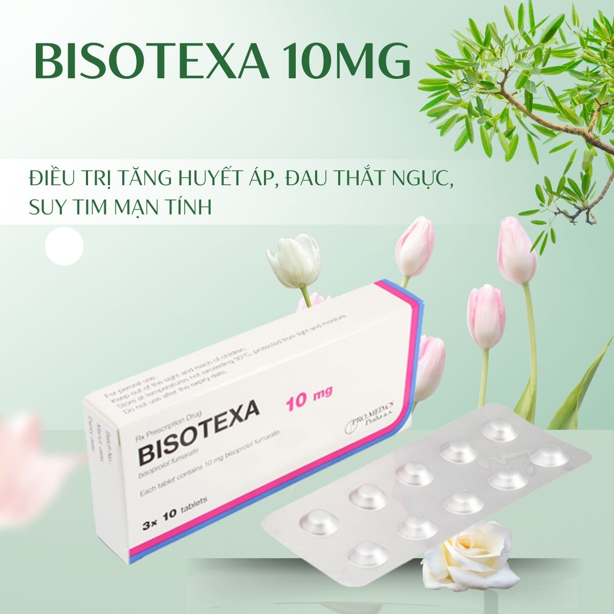Chỉ định dùng thuốc Bisotexa 10mg