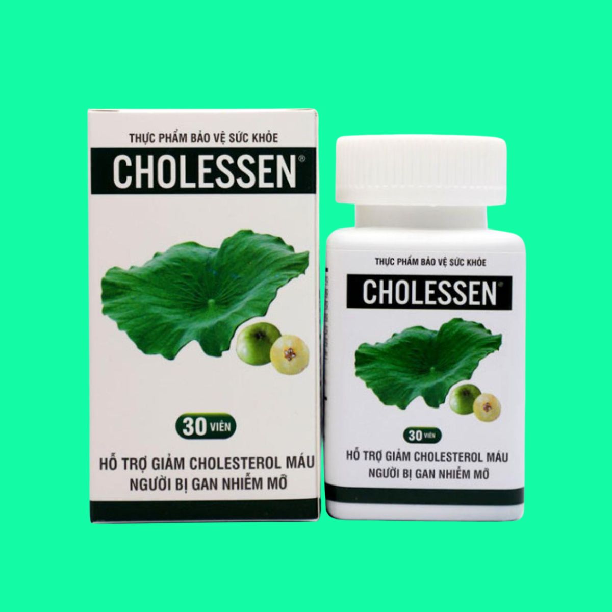 Cholessen-1 Cholessen