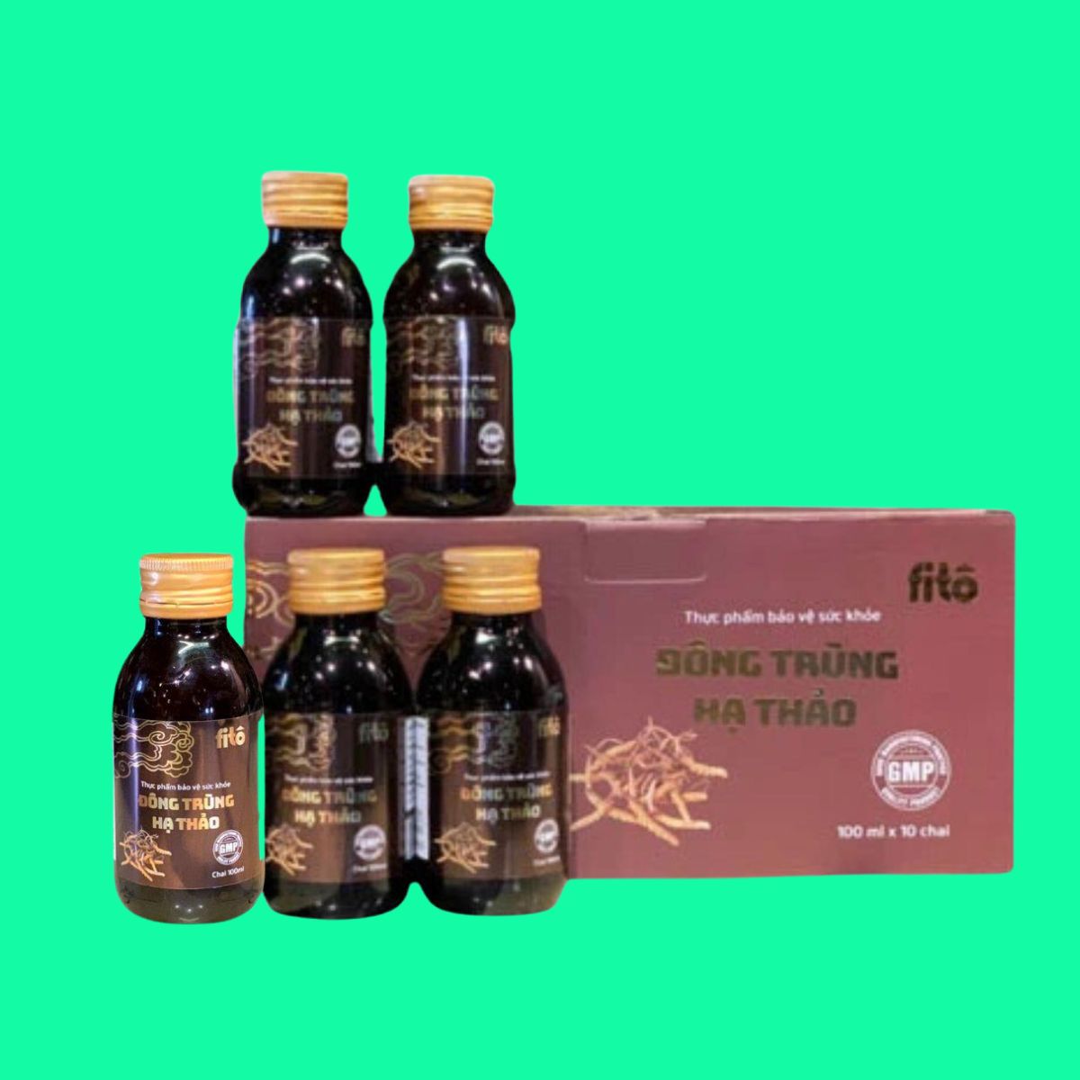 Đông Trùng Hạ Thảo FITO (1) Đông Trùng Hạ Thảo FITO