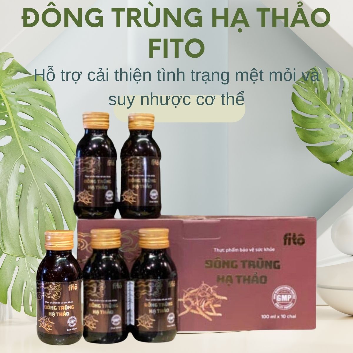 Đông Trùng Hạ Thảo FITO 6 Công dụng sản phẩm Đông Trùng Hạ Thảo FITO