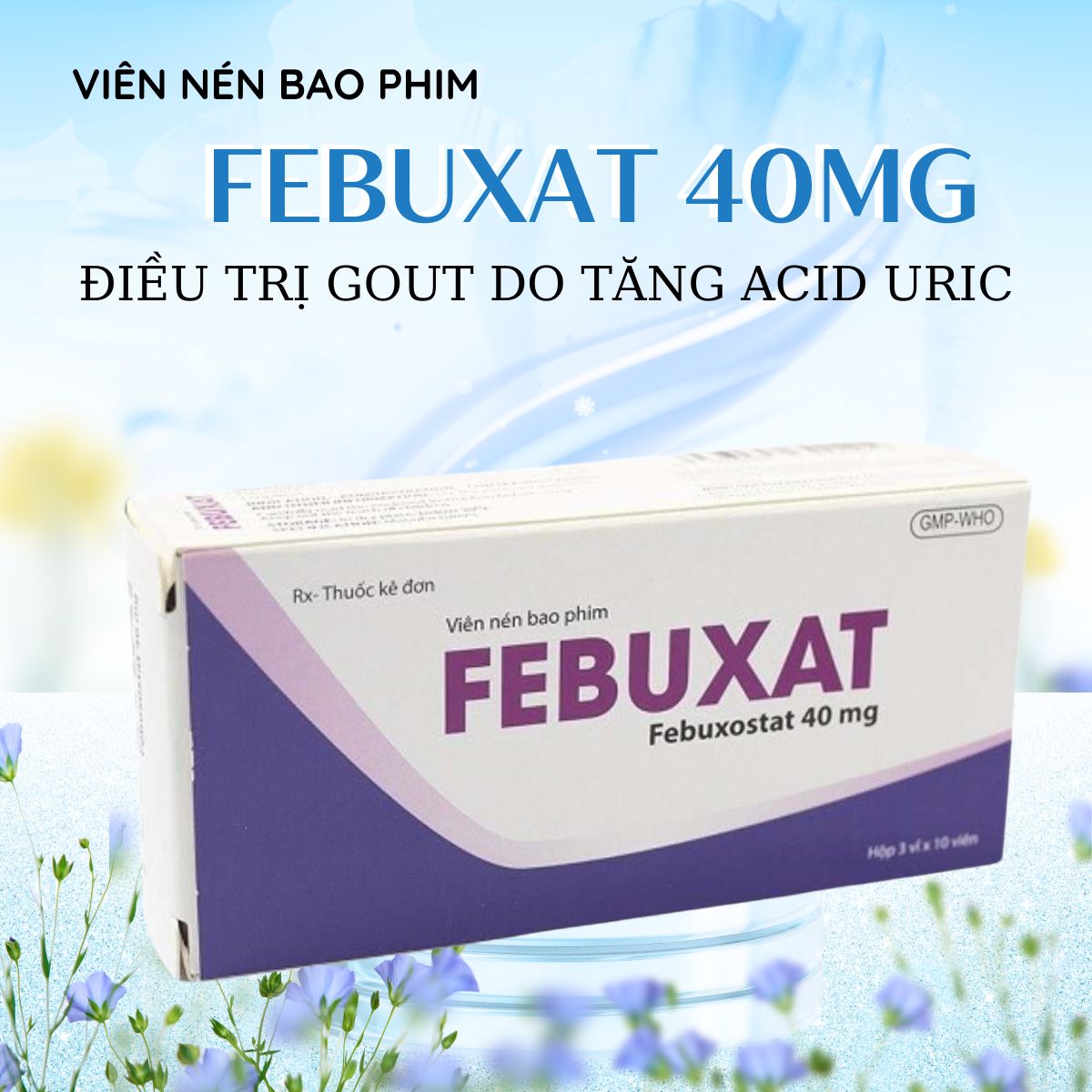 Febuxat 40mg 5 Febuxat 40mg điều trị Gout do tăng acid uric