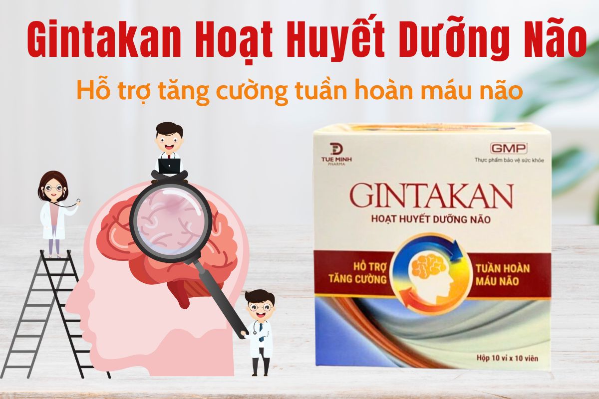 Gintakan Hoạt Huyết Dưỡng Não 11 Gintakan Hoạt Huyết Dưỡng Não