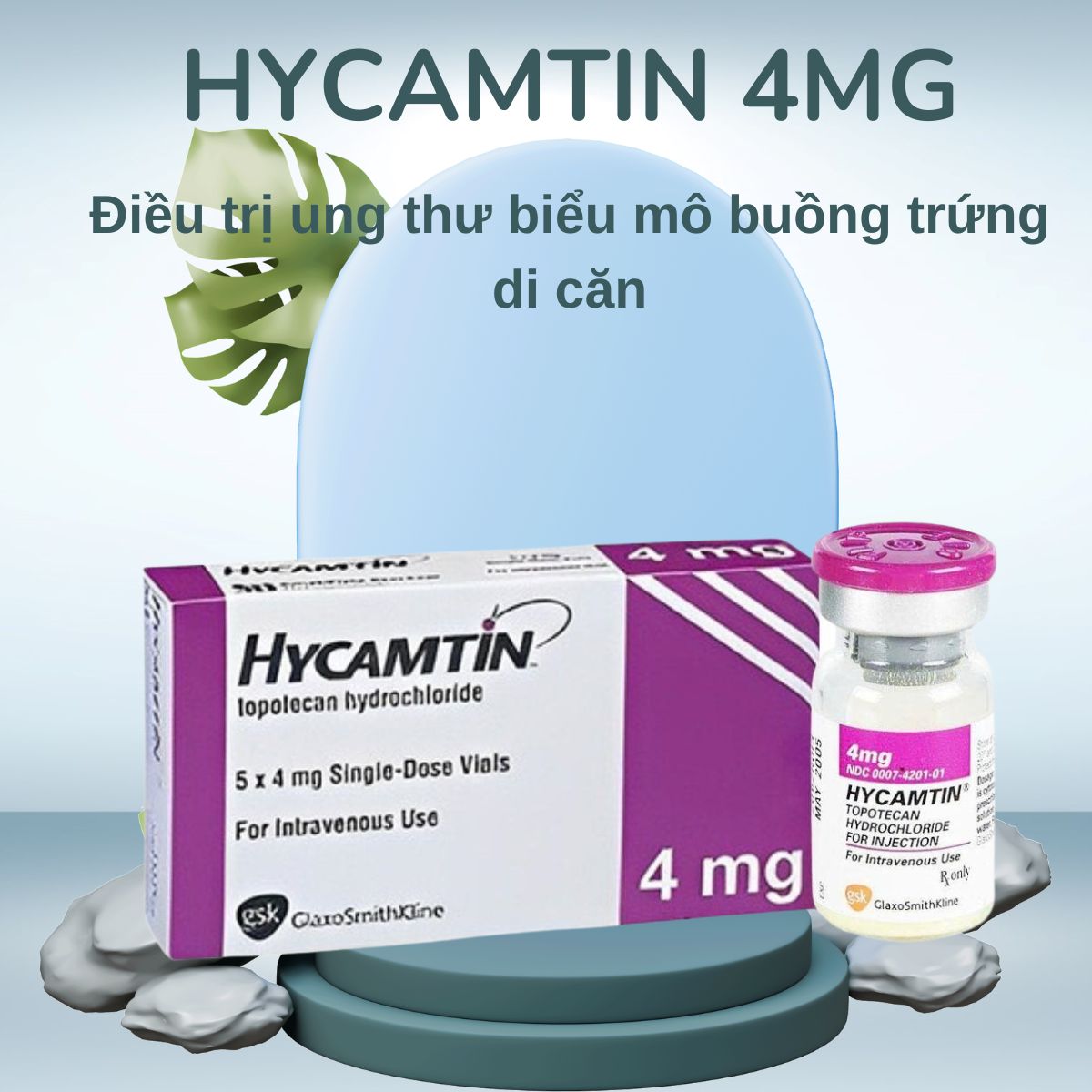 Chỉ định dùng thuốc Hycamtin 4mg