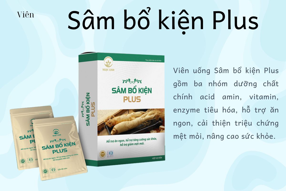 Sâm bổ kiện Plus 6 Sâm bổ kiện Plus có tốt không?