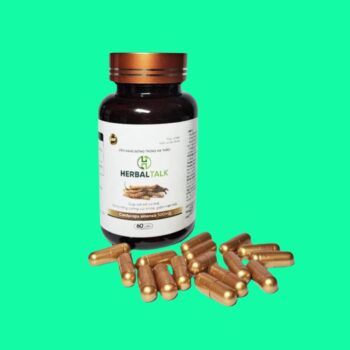 Viên Nang Đông Trùng Hạ Thảo Herbal Talk 4 Viên Nang Đông Trùng Hạ Thảo Herbal Talk
