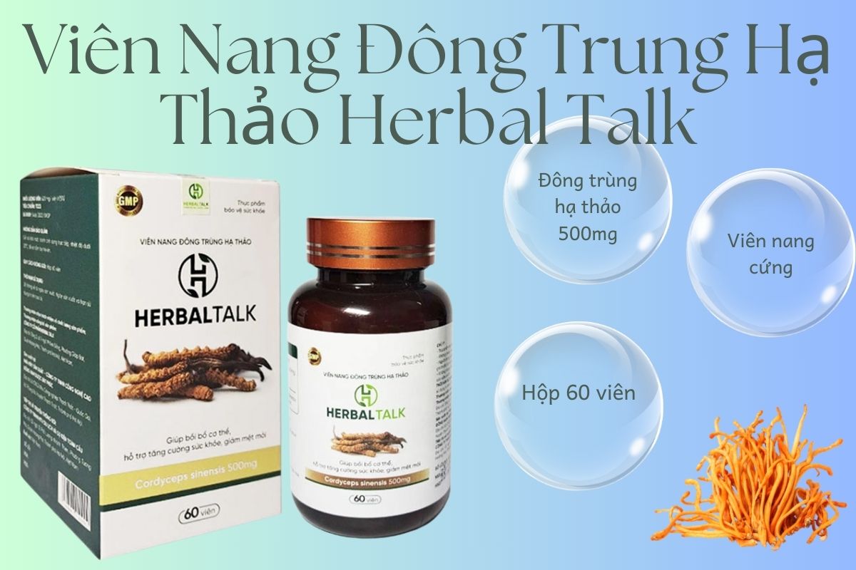 Viên Nang Đông Trùng Hạ Thảo Herbal Talk 10 Viên Nang Đông Trùng Hạ Thảo Herbal Talk có thành phần chính Đông trùng hạ thảo