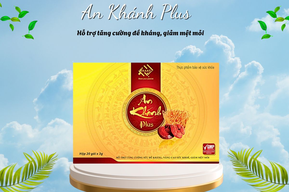 An Khánh Plus 6 An Khánh Plus