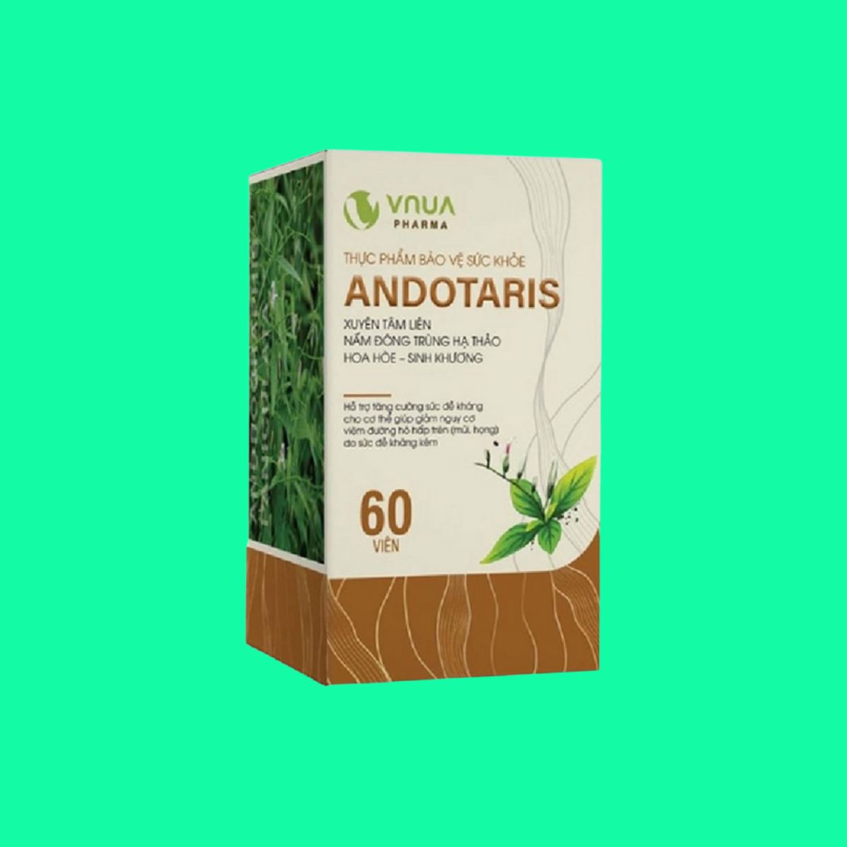 andotaris-vnua Andotaris Vnua