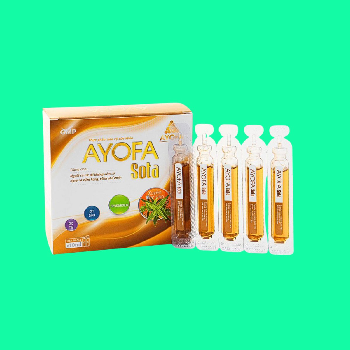 ayofa-sota Ayofa Sota