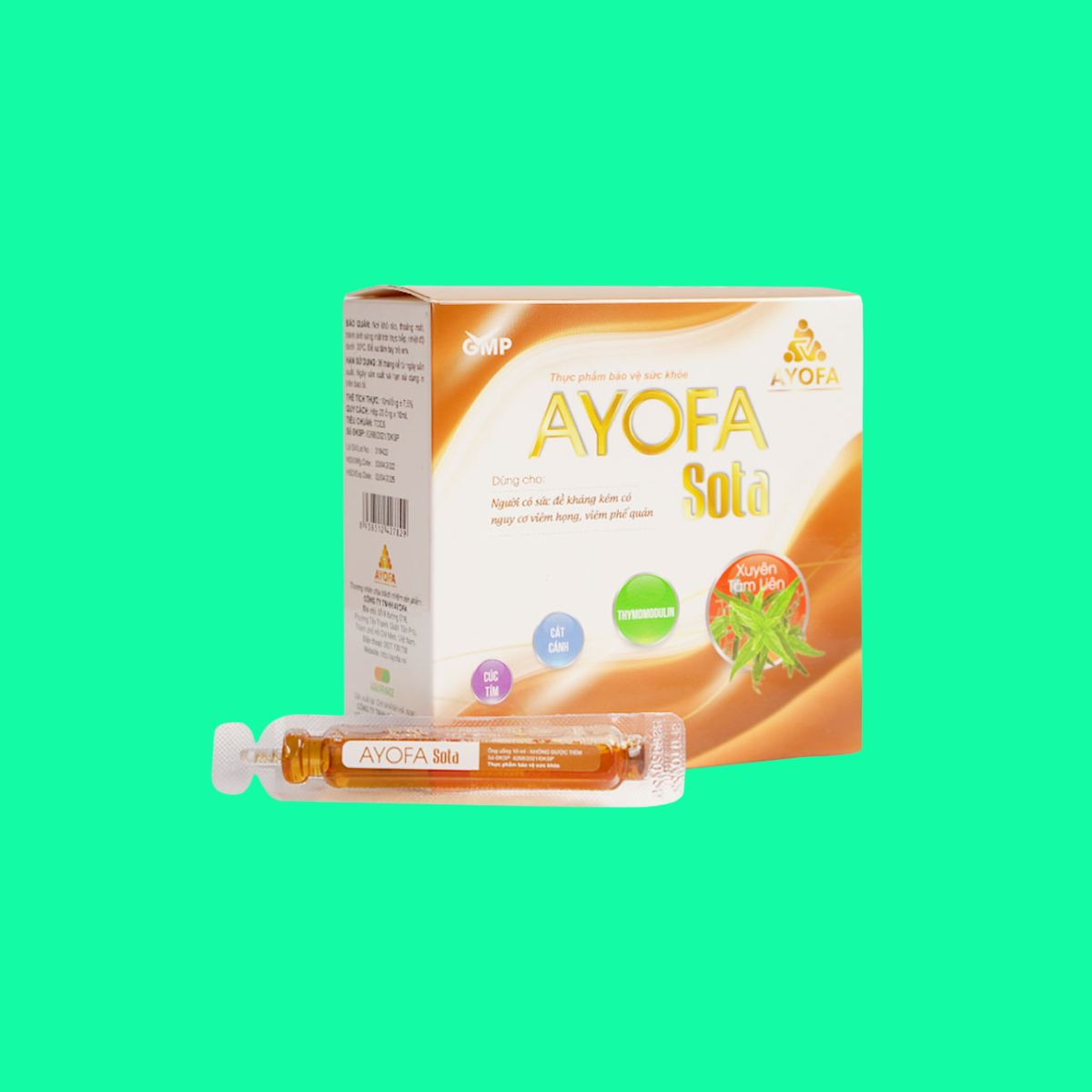 ayofa-sota Ayofa Sota