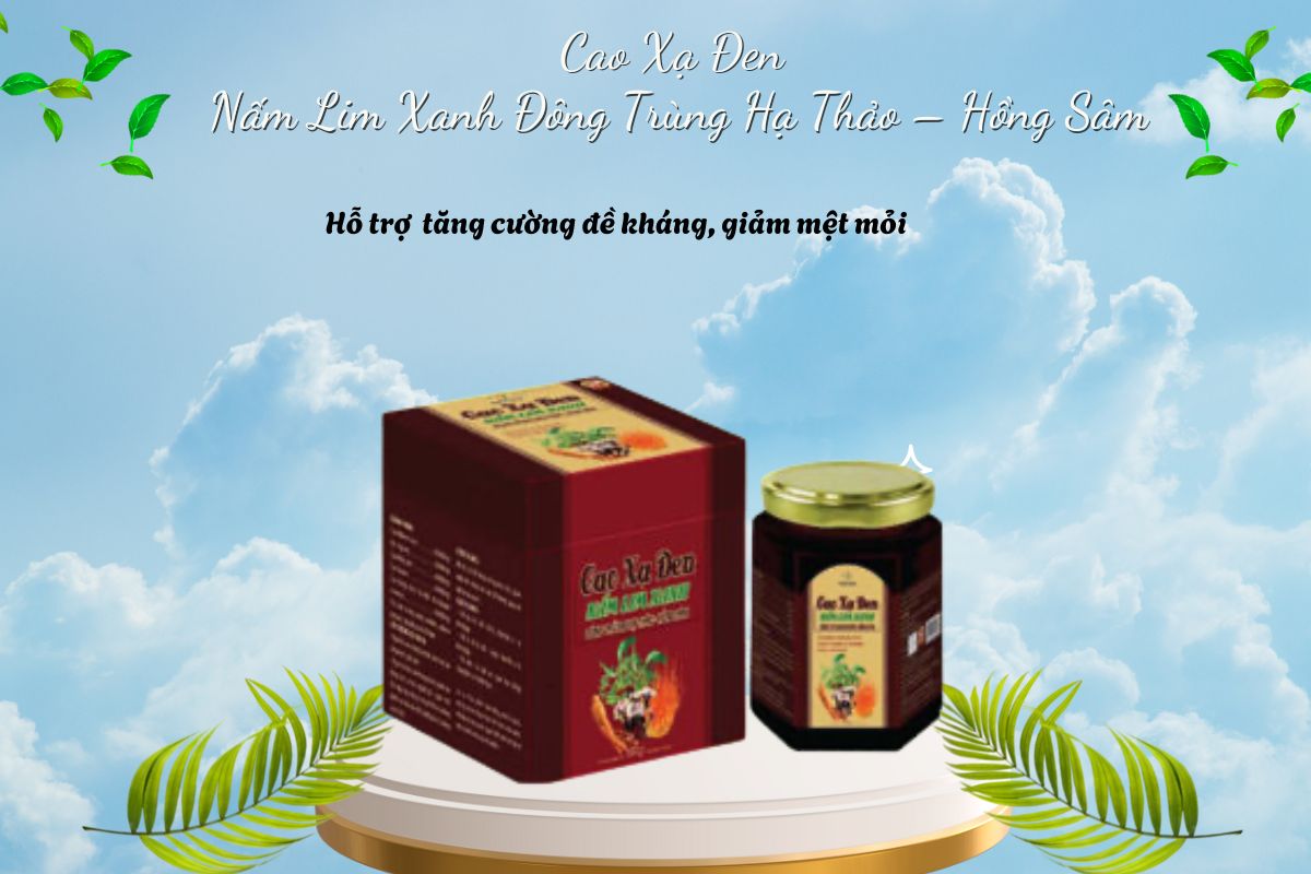 Cao Xạ Đen Nấm Lim Xanh Đông Trùng Hạ Thảo – Hồng Sâm