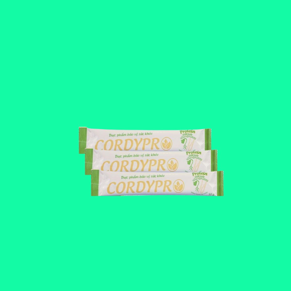 cordypro-3 CordyPro