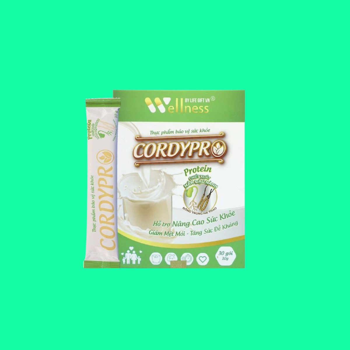 cordypro-6 CordyPro