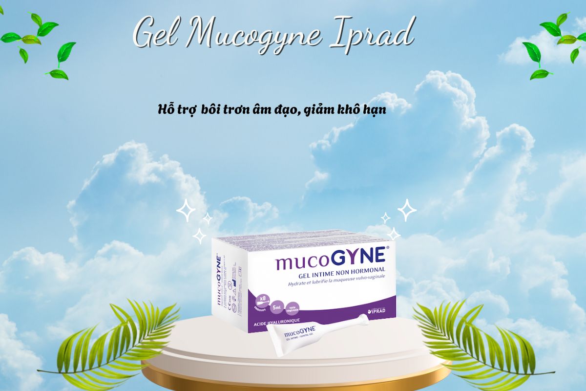 Gel Mucogyne Iprad (8 ống x 5ml) 8 Gel Mucogyne Iprad