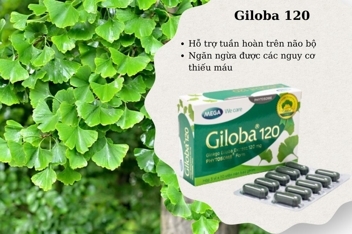 Tác dụng của Giloba 120