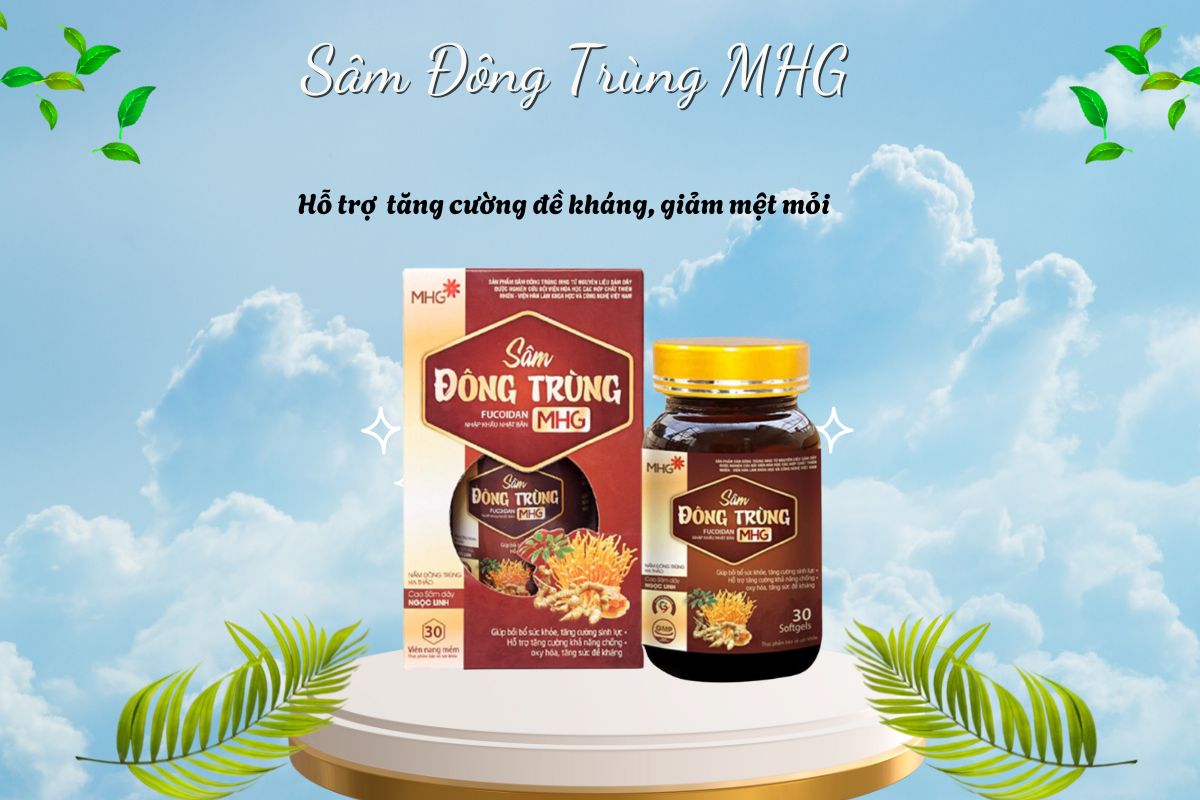 Sâm Đông Trùng MHG