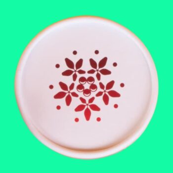 Sâm Ngọc Linh Tổ Yến Ginggem