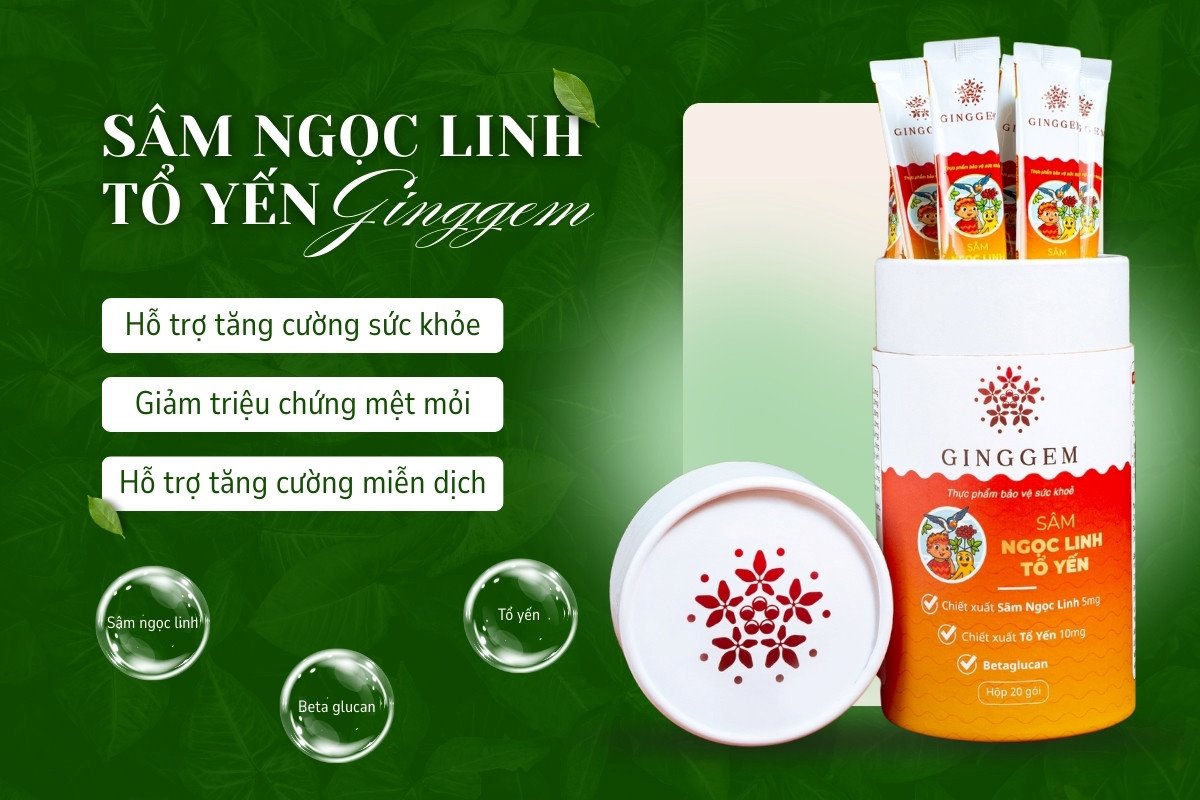 Công dụng của Sâm Ngọc Linh Tổ Yến Ginggem