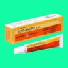 Canasone C.B. 6 Canasone C.B.