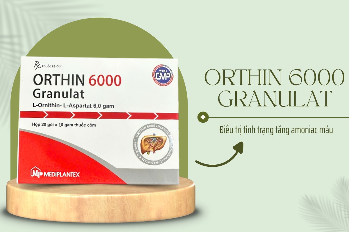Orthin 6000 Granulat 7 Chỉ định của thuốc Orthin 6000 Granulat