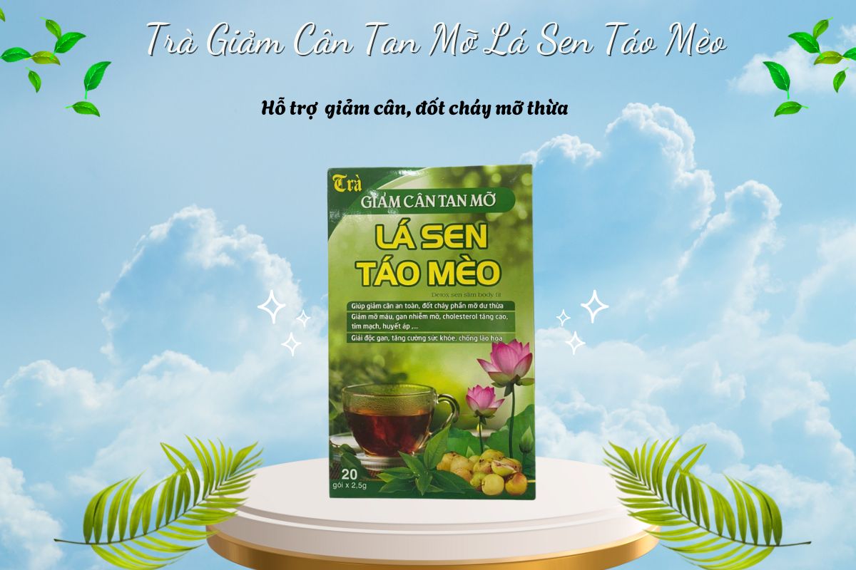 Trà Giảm Cân Tan Mỡ Lá Sen Táo Mèo 9 Trà Giảm Cân Tan Mỡ Lá Sen Táo Mèo
