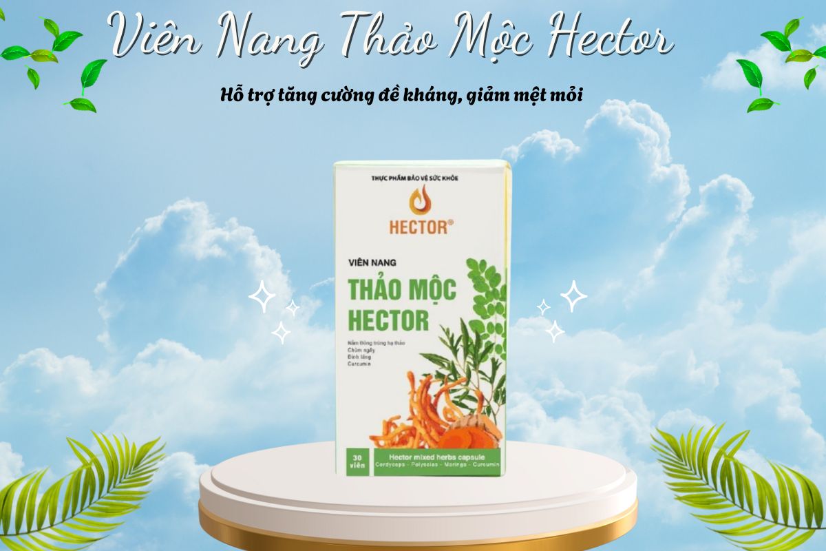 Viên Nang Thảo Mộc Hector 7 Viên Nang Thảo Mộc Hector