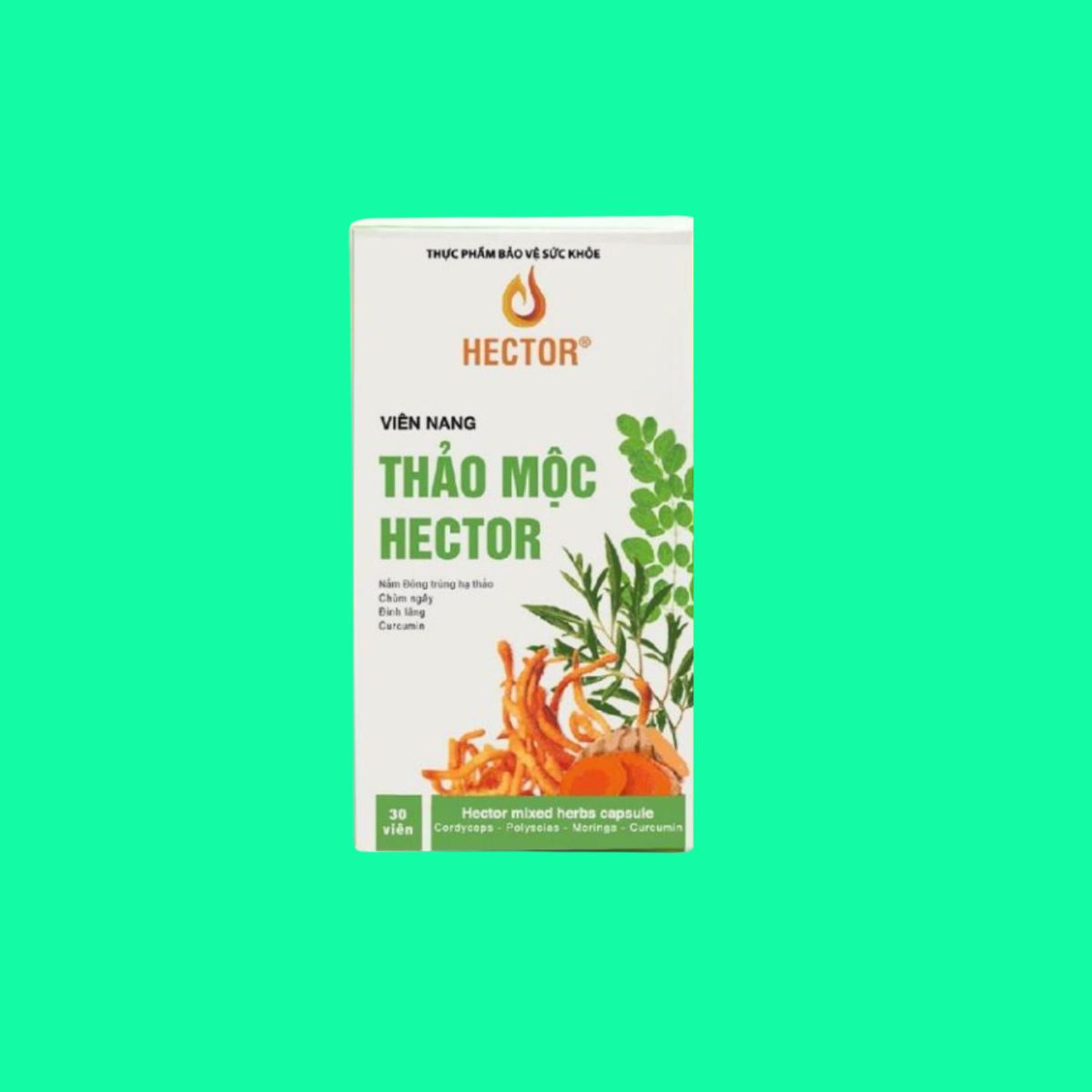 vien-nang-thao-moc-hector Viên Nang Thảo Mộc Hector