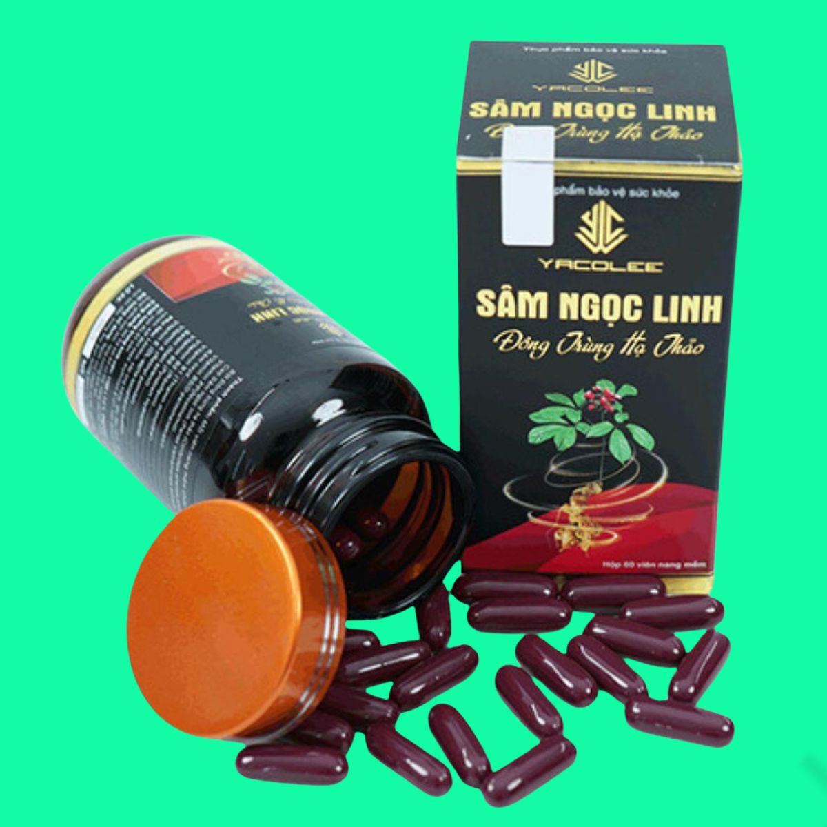 yacolee-sam-ngoc-linh-dong-trung-ha-thao-1 Yacolee Sâm Ngọc Linh Đông Trùng Hạ Thảo