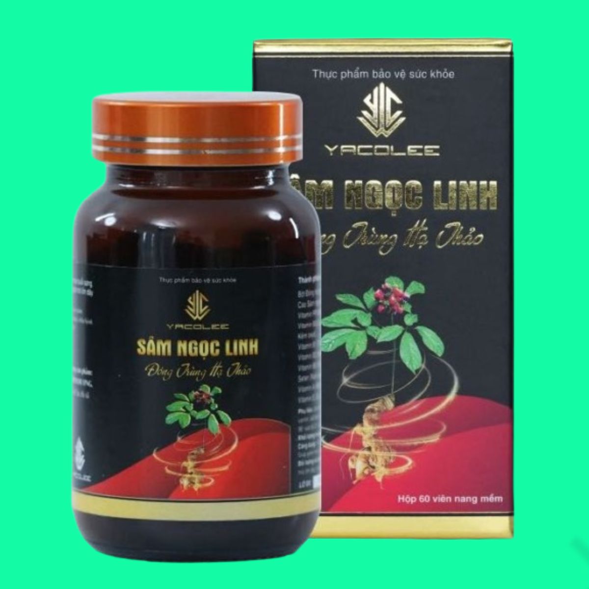 yacolee-sam-ngoc-linh-dong-trung-ha-thao Yacolee Sâm Ngọc Linh Đông Trùng Hạ Thảo