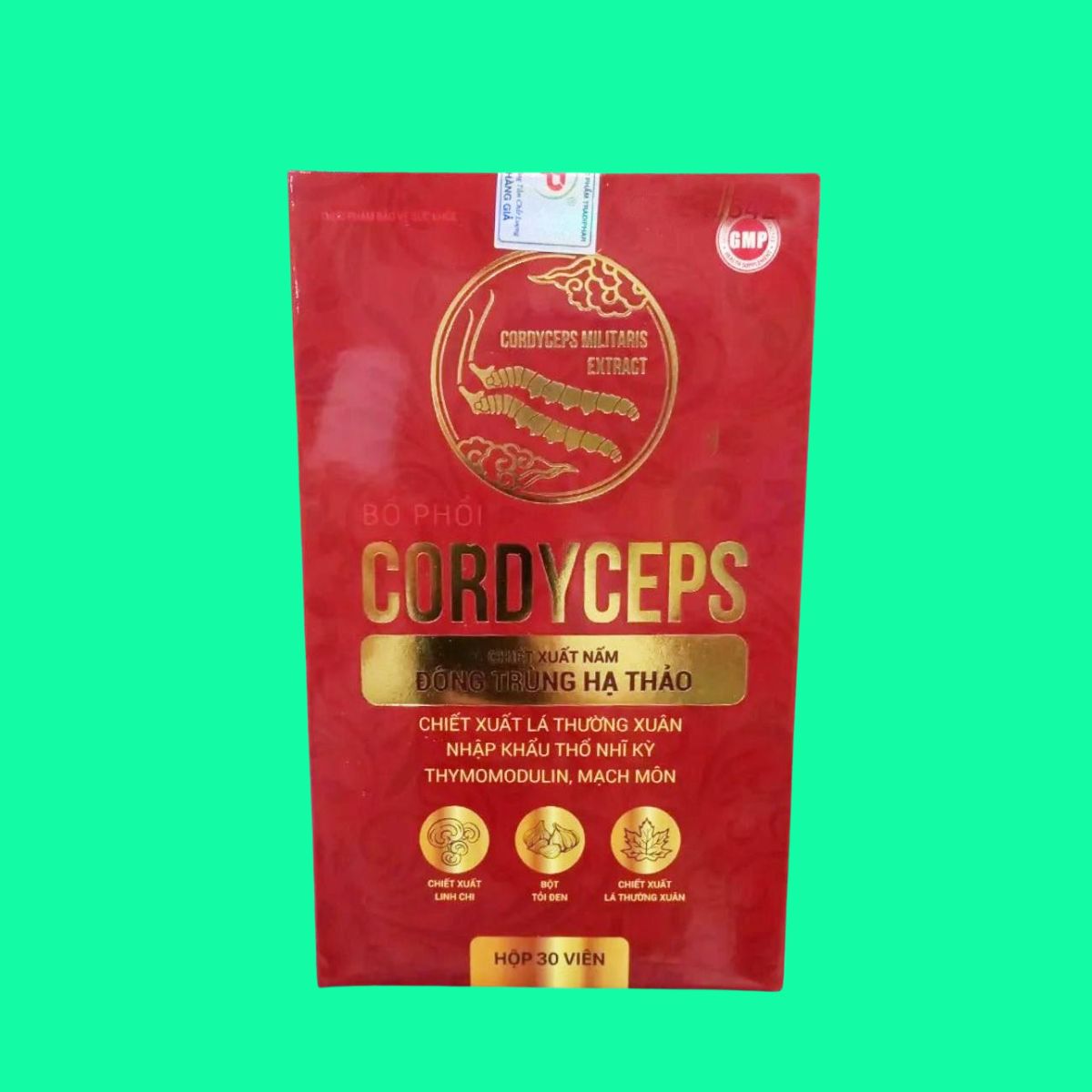 Bo-phoi-Cordyceps-Tradipha-4 Bổ phổi Cordyceps Tradipha