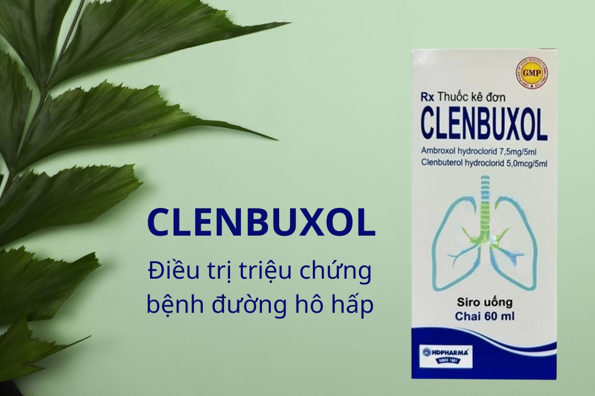 Clenbuxol 5 Clenbuxol điều trị triệu chứng bệnh đường hô hấp