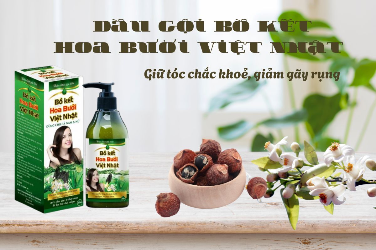 Dầu gội Bồ Kết Hoa Bưởi Việt Nhật