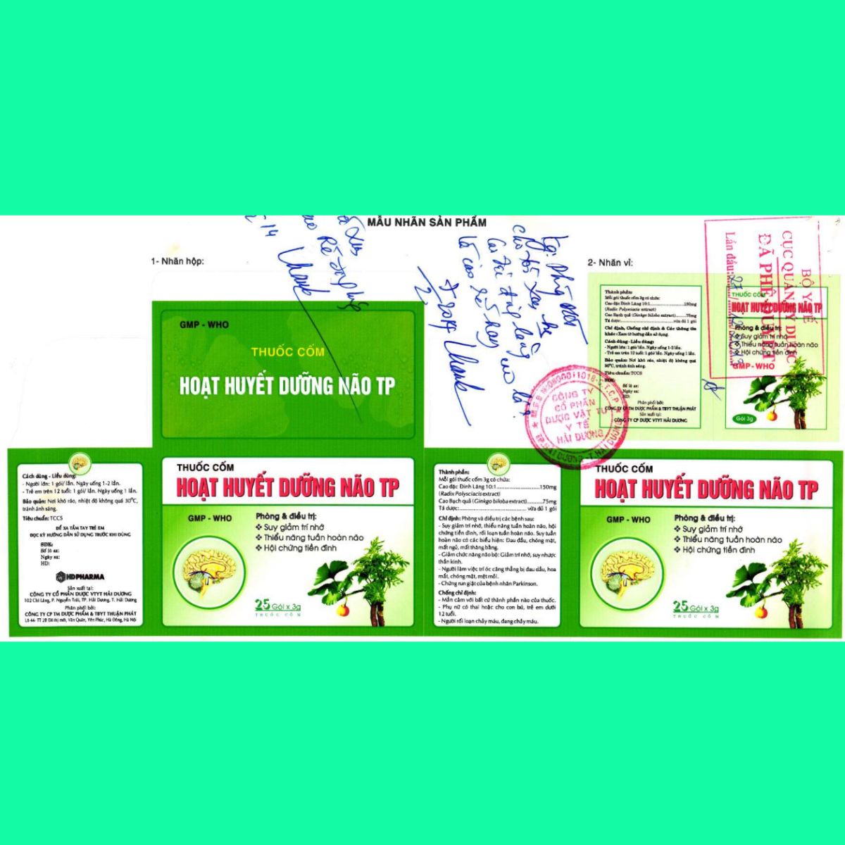 Hoat-huyet-duong-nao-TP-12 Hoạt huyết dưỡng não TP