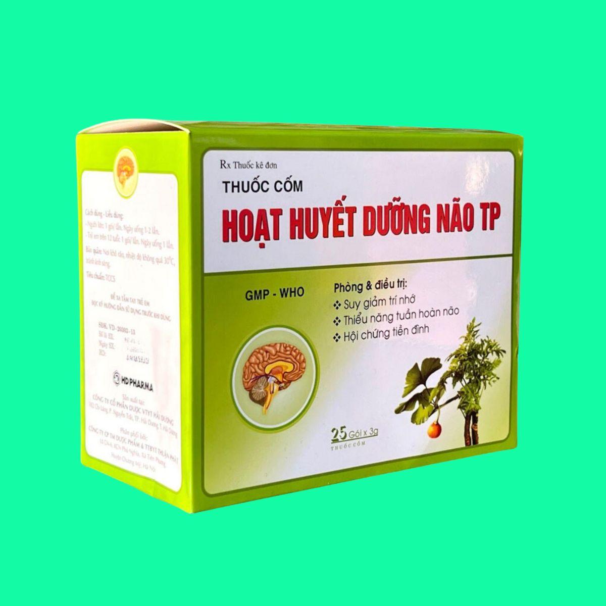 Hoat-huyet-duong-nao-TP-4 Hoạt huyết dưỡng não TP