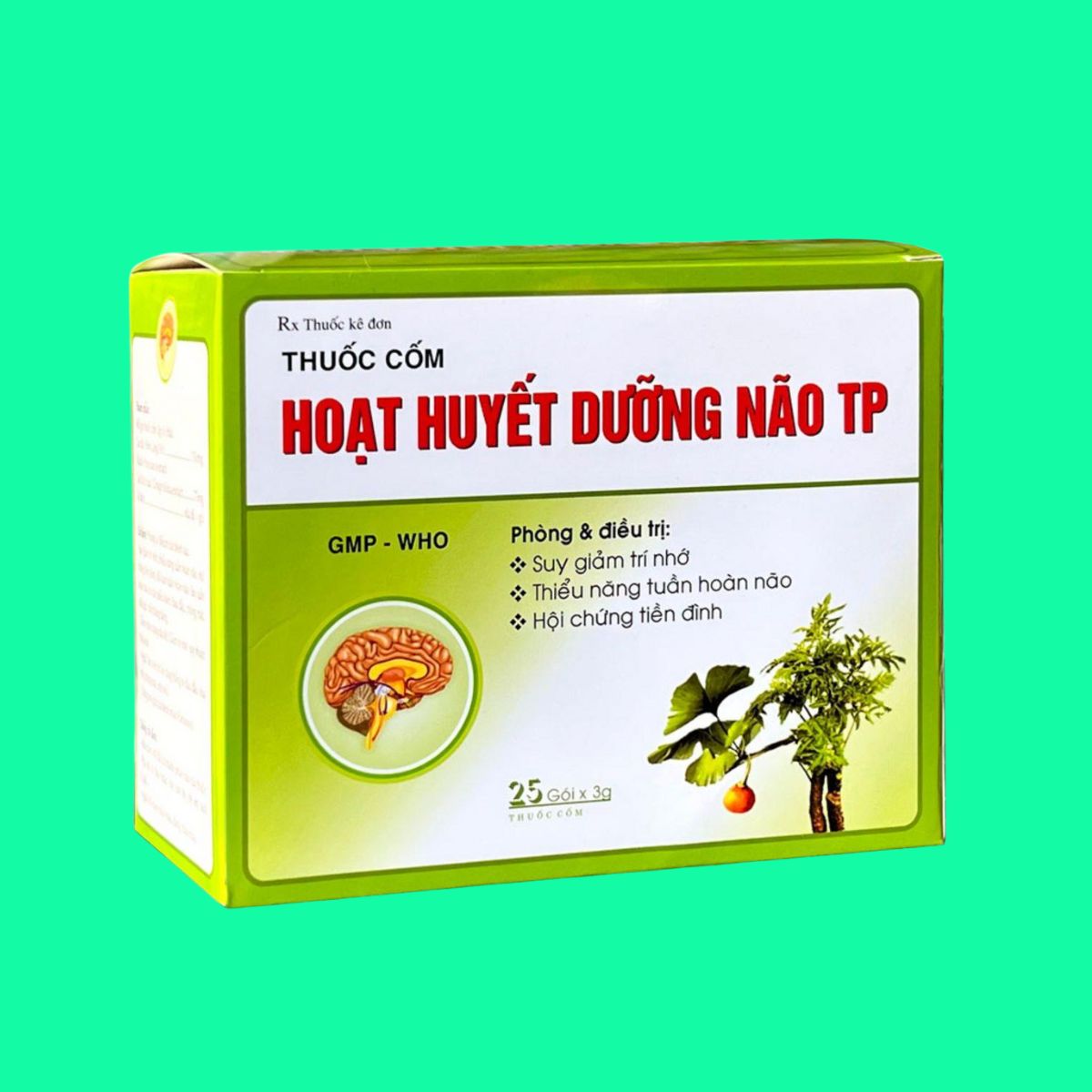 Hoat-huyet-duong-nao-TP-6 Hoạt huyết dưỡng não TP