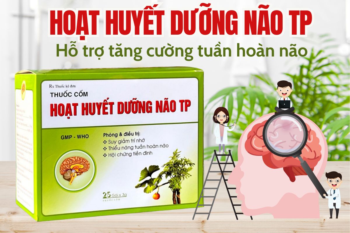Hoạt huyết dưỡng não TP 18 Hoạt huyết dưỡng não TP
