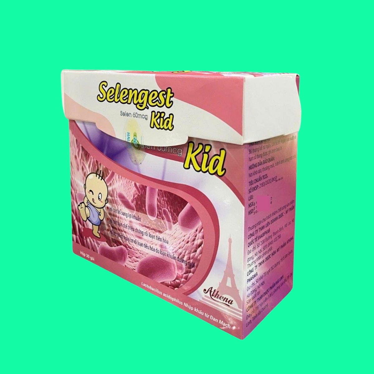 Selengest-kid-2 Selengest Kid