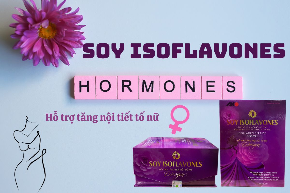 Soy Isoflavones 11 Soy Isoflavones
