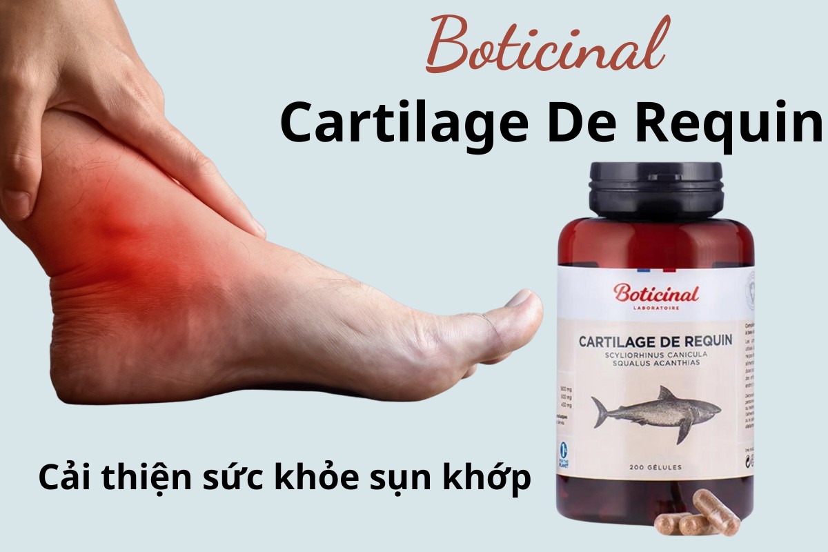 Boticinal Cartilage De Requin cải thiện sức khỏe sụn khớp